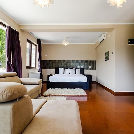 Rex Infinity View 4* Cazanele Dunarii Dubova Exterior photo