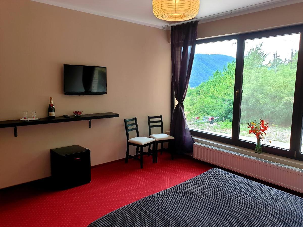 Rex Infinity View 4* Cazanele Dunarii Dubova Exterior photo